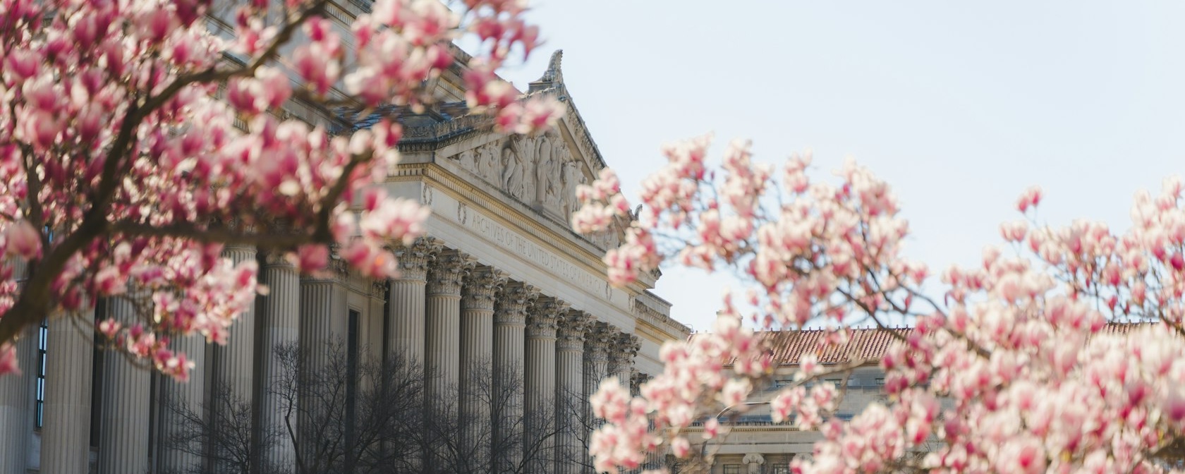 National Archives Through the Cherry Blossoms 