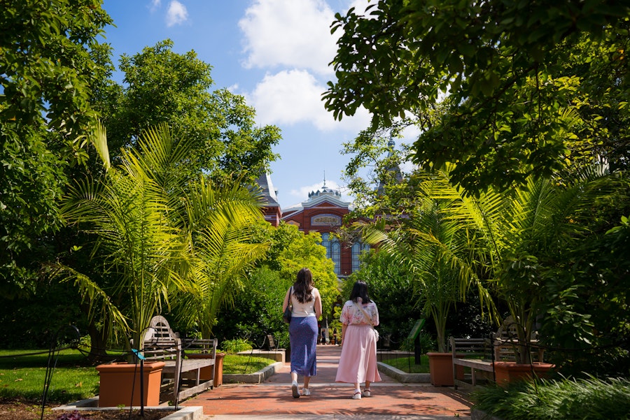 Two visitors walk through palm-lined paths in the Enid A. Haupt Garden with the Arts and Industries buildingvisible ahead.