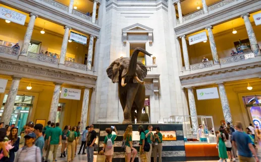 Interior of the Museum of Natural History with the famous taxidermy elephant at the center. 