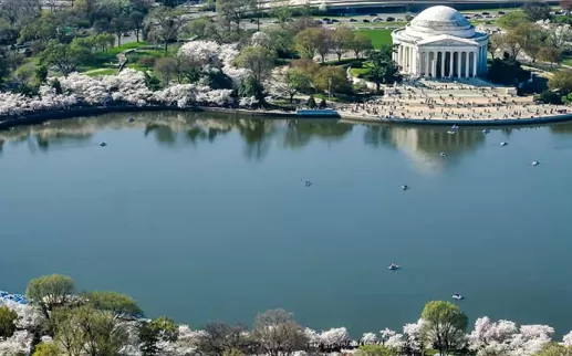 Your green Washington, DC travel guide for where to find sustainable hotels, eco-friendly attractions, locally sourced food, LEED-certified venues and more